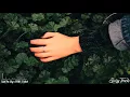 Said The Sky & FRND - Faded