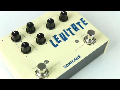 Sonicake Levitate Delay + Reverb | Delicious Audio