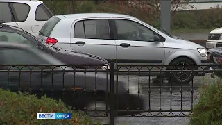 Оставшиеся два дня августа в Омской области будут теплыми, но дождливыми