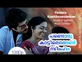 Download Lagu Pandoru kattiloran simham | പണ്ടൊരു കാട്ടിലൊരാണ്‍ സിംഹം | Susheela | Mammootty Central Talkies