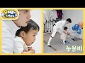 Download Lagu [김준호네] 민첩성, 집중력, 매너까지...! 육각형 베이비 정우의 펜싱 훈련기♥ [슈퍼맨이 돌아왔다/The Return of Superman] | KBS 250625 방송