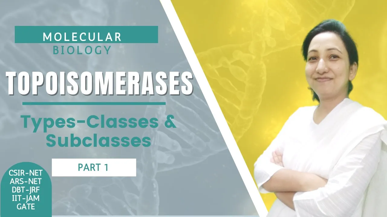 Topoisomerases | Types of Topoisomerases | Classes & Subclasses of Topoisomerases | CSIR-NET/JRF