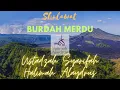 Download Lagu Sholawat Burdah Merdu _ Ustadzah Syarifah Halimah Alaydrus #sholawat #sholawatnabi #halimahalaydrus