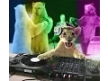 Download Lagu Yahel Chabs - TripTonite 003 Dj Set Psy Trance