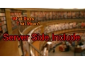 What does Server Side Include mean