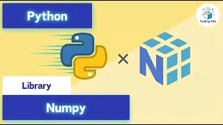 Multi-dimensional Arrays Decoded The NumPy Essentials