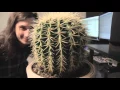 Download Lagu Gourski - Springtime [Cactus Meets Drum\u0026Bass]