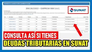 ¿Cómo saber mis deudas tributarias - SUNAT?