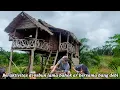 Download Lagu Membantu bang bahok memupuk kelapa sawit lanjut bermalam di pondok