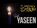 Download Lagu Surat Yasin || سورة يس ||  Bacaan Merdu dan Lembut || Most Beautiful Recitation - Full HD