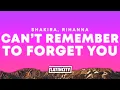 Download Lagu Shakira, Rihanna – Can't Remember to Forget You (Lyrics)