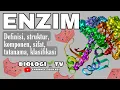 Download Lagu Biologi bab enzim lengkap : definisi-struktur-komponen-sifat-tatanama-klasifikasi