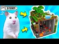 Download Lagu The world's largest hamster maze - obstacle course! #2 🐹 Homura Ham