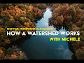 How a watershed works K-12