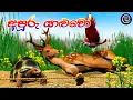 Download Lagu Lapati Sina - Apuru Yaluwo | ලපටි සිනා - අපූරු යාළුවෝ | 3D Animated Short Film