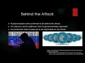 EG 44175 Case Study Rough Draft