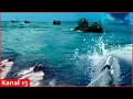 Download Lagu A brilliant operation in Novorossiysk by Ukrainian HUR: Naval drone eliminated elite Russian divers