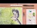 Vlogmas 2017 - Starting my Get Messy art journal mockingbird drawing
