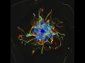 8 Million Particle Gravity Simulation