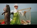 Download Lagu 阿烽出海连续抓到大货猛货，上岸一算发财了，拿给雄哥帮忙卖