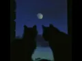 i watch the moon (tek it acoustic)
