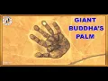 GIANT BUDDHA S PALM 40 000 square meters