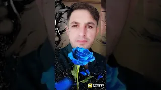 كولي من دندنها