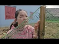 Hang’s father found her and scolded her for keeping everything from him.