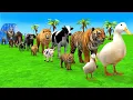Download Lagu Long Slide Game With Elephant Gorilla Buffalo Hippopotamus Tiger 3d Animal Game Funny 3d Animals