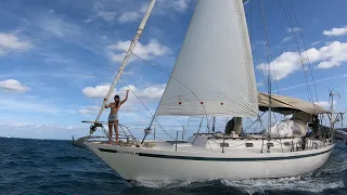Ep.259 We are the opposite of Sailing La Vagabonde