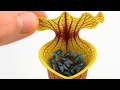 Which Carnivorous Plant Catches the Most Flies