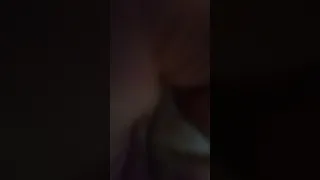 trailers vlogs travel november 10 2025 trailers vlogs travel 