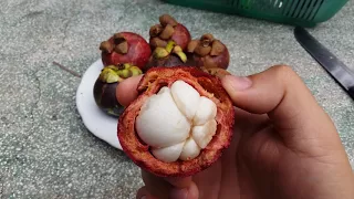 Mangosteen UK - Contact Us Today To Buy Mangosteen Products Online. 