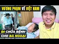 Lagu Vương Phạm Trở Về Việt Nam Đưa Bà Ngoại Đi Chữa Bệnh