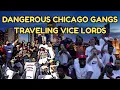 Dangerous Chicago Gangs The Rise of the Traveling Vice Lords