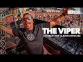 Download Lagu The Viper (Album showcase) | Harmony of Hardcore 2023