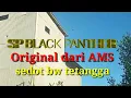 Download Lagu sp black panther original dari AMS
