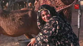 أمراء البادية قريبا في رمضان انتظرووووونا 