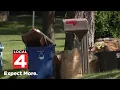 Metro Detroit waste company works through trash pickup backlog