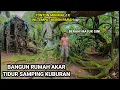Lagu SULIT DI PERCAYA 10 TAHUN BANGUN RUMAH AKAR DI KELILINGI KUBURAN PINGGIR HUTAN