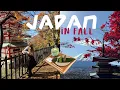 Download Lagu Japan in fall | Tokyo, Mt. Fuji + Kamakura 🗻🍁