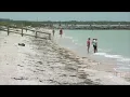 Deputies FEMA to pay OT to patrol Pinellas Co beaches