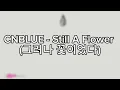 CNBLUE - Still A Flower (그러나 꽃이었다) || Lyrics _Rom_INA Sub
