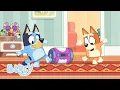 LIVE Musical Moments with Bluey Bluey