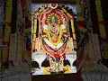 Download Lagu Shree #Mahalasa #trendingshorts #shortvideo #shortsviral #shortsfeed #share #sho#live #vlog #goddess