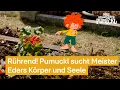 Download Lagu Pumuckl sucht die Seele von Meister Eder auf dem Friedhof | Neue Geschichten vom Pumuckl auf RTL+
