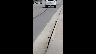 Daniel Larson - The N Word Driveby