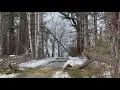 Cumberland County residents struggle with power outages after weekend storm