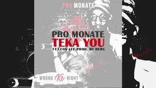pro monate teka you ft leon lee official audio 