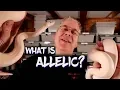 Allelic ball python genetics explained